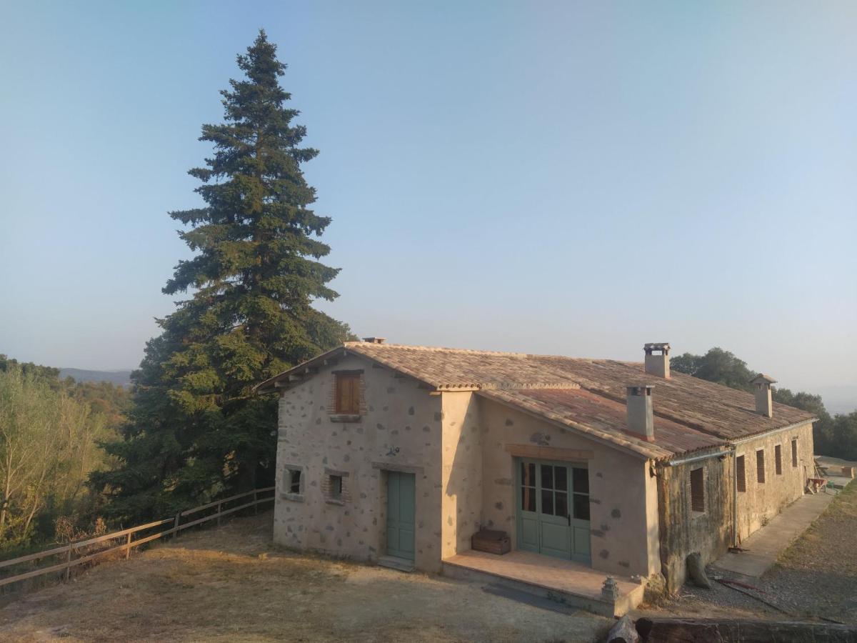 La Caseta De El Llancis Santa María de Corcó المظهر الخارجي الصورة